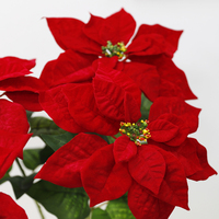 Künstliche Weihnachts blumen Weihnachts stern Weihnachts hochzeits blume zur Dekoration Künstlicher samt roter Weihnachts blumen zweig