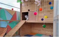 Buitenverblijf voor huisdieren van weerbestendig hout met asfaltdak, metalen gaas, veilig & ruim huisje voor huisdieren, uitneembare lade voor konijnen, kippen, katten