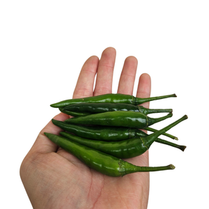 Chile rojo fresco de Vietnam de alta calidad, el mejor precio al por mayor para uso alimentario, procesamiento crudo con sabor picante, especias y hierbas individuales - Product Image 1