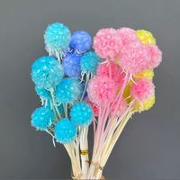 Buah Pinwheel Kering Grosir Satu Atap Warna/Ukuran Kustom Berkualitas Tinggi Buah Pinwheel Abadi untuk Dekorasi Hari Valentine Hari Ibu
