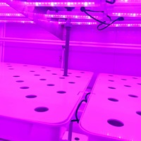 Système aquaponique vertical OEM pour serre avec pompe de culture hydroponique à eau profonde, support hydroponique, éclairage LED pour culture, haute rigidité