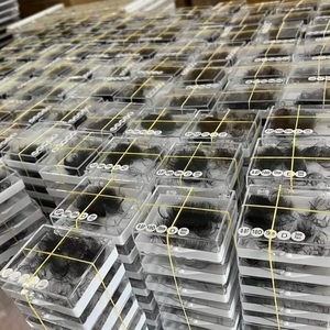 ขนตาปลอมแบบต่อ 2D-24D 1000 ช่อ ขนสังเคราะห์ สีดำธรรมชาติ หนาเต็มพิกัด ฐานเรียวแหลม ทำมือ คุณภาพสูง - Product Image 1