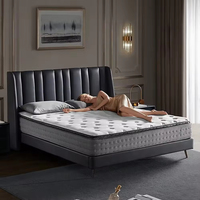 Schlussverkauf Euro-Luxus König/Königin Größe benutzerdefinierte Feder Speicher-Schaum Latex Hybrid-Kissen-Oberdeckung Matratze verdickt in Schachtel für Hotel