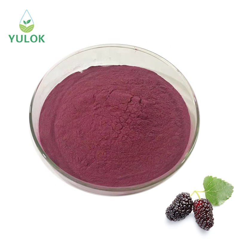 High Quality Multipurpose Food grade Pure Natural Organic Mulberry fruit Extract Powder