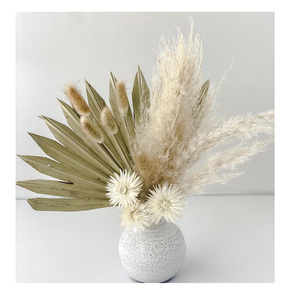 Petite décoration en feuilles <span class=keywords><strong>de</strong></span> palmier séchées blanches, éventail à <span class=keywords><strong>main</strong></span> en feuilles <span class=keywords><strong>de</strong></span> palmier - Product Image 2