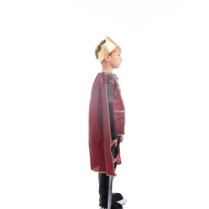 Nouveau gladiateur Cosplay grec spartiate <span class=keywords><strong>chevalier</strong></span> garçon carnaval fête ancien guerrier romain Costume pour garçons - Product Image 6