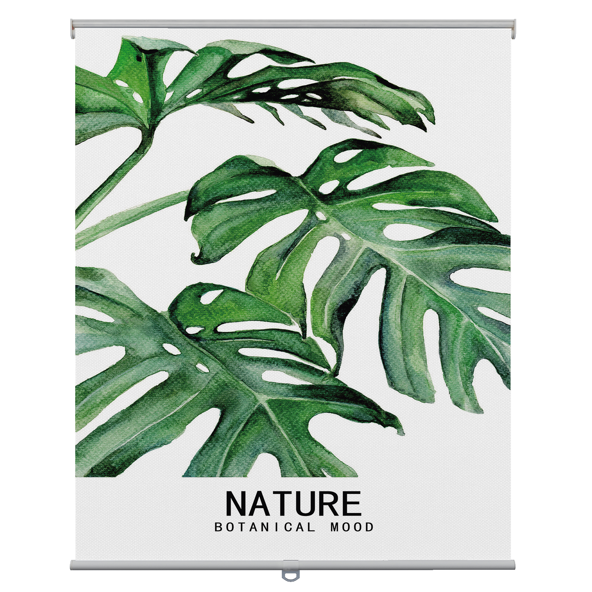 Bambú respaldado por tortuga