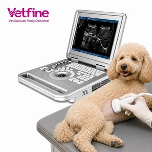 Ecógrafo Veterinario Portátil en Blanco y Negro, Escáner de Ultrasonido Veterinario Tipo <span class=keywords><strong>Laptop</strong></span> <span class=keywords><strong>para</strong></span> Perros y Gatos - Product Image 1