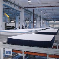Matelas à Ressorts Ensachés en Mousse Euro Top sur Mesure, Taille King Queen Full, Design Moderne, Lit Naturel de Luxe pour Hôtels, Fournisseur d'Usine