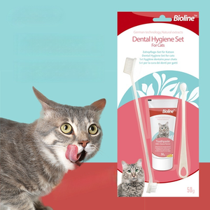 Usine en gros 3 en 1 saveurs de boeuf <span class=keywords><strong>chat</strong></span> brosse à dents dentifrice Pet Kit dentaire chien brosse à dents - Product Image 1