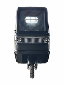 Nuevo Modelo de Triciclo Eléctrico E-Cargo E-Loader Motorizado de 1000W ABS 60V con Cabina Cerrada para Pasajeros, Homologado EEC DOT, 500kg, Bicicleta Eléctrica de Carga - Product Image 4