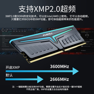 ชุดหน่วยความจำพุสคิล DDR4 8G 2666RGB สำหรับเดสก์ท็อปเกมมิ่งพีซี - Product Image 5