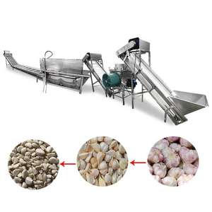 Máquina de embalaje peladora de ajo industrial Equipo de línea de producción completa Línea de máquina peladora de ajo industrial automática - Product Image 5
