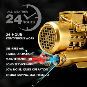 Souffleur d'air régénératif à canal latéral à simple turbine haute performance avec débit d'air de 420 m³/h et garantie de 2 ans - Product Image 3