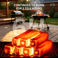 Charbon de barbecue en bambou naturel pur OEM/ODM, haute chaleur, sans étincelles, sans odeur irritante, emballage personnalisé