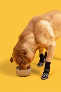 Calzini antiscivolo per animali domestici gatti e cani zampe protettive per interni silenziose scarpe regolabili possono essere personalizzate logo di imballaggio - Product Image 4