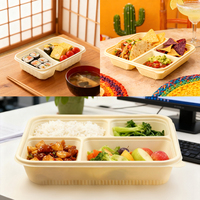 Conteneur alimentaire jetable en PLA biodégradable à base d'amidon de maïs pour la préparation des repas, écologique, pour plats à emporter, boîte à lunch étanche et lavable, vente en gros