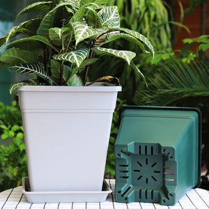 Carré Changsheng <span class=keywords><strong>Aoyama</strong></span> pot de roses en plastique pour plantes d'intérieur, pot de fleurs, pots de jardinières - Product Image 5