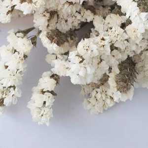 Ramo de Flores Decorativas de Myosotis Más Vendido al por Mayor, Flor de Estatice Seca y <span class=keywords><strong>Lavanda</strong></span> Marina - Product Image 3