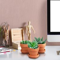 Pots de fleurs en terre cuite 5CM Pot en argile non émaillée Mini pots de plantes avec soucoupe pour plante de cactus succulente d'intérieur et d'extérieur