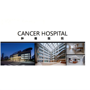 Solución Integral para Proyectos de Construcción de Hospitales de Oncología: Planificación, Instalación, Preparación de Materiales y Construcción con Acero Chino - Product Image 1