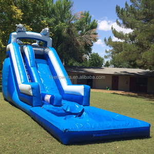 Toboggan aquatique gonflable commercial double piste pour la vente - Product Image 2