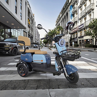 Tricycle électrique chinois 800W avec moteur sans balais, 3 places, autonomie de 55 km, scooter de bonne qualité pour adultes, directement de l'usine