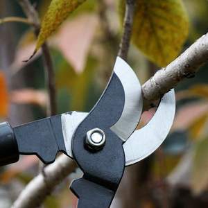 <span class=keywords><strong>Mini</strong></span>-cisailles de jardin, sécateurs à lame déportée pour branches d'arbres - Product Image 3