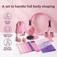 Lot de 16 pièces pour le fitness à domicile : Anneau de Pilates, Ballon de yoga, Bande de résistance – Équipement complet pour l'entraînement et le remodelage corporel à domicile