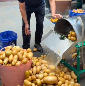 Máquina para limpiar patatas y batatas, elimina la suciedad sin dañar la piel. Pequeña lavadora de patatas de acero inoxidable - Product Image 2