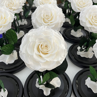 Le fabricant d'usine fournit un service à guichet unique Les fleurs de roses rouges ne se fanent jamais Les vraies roses conservées pour toujours Rose dans un dôme en verre