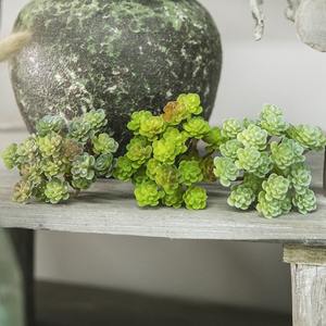 Produttore all'ingrosso 24 forcella immortali <span class=keywords><strong>semi</strong></span> di simulazione pianta succulenta decorazione di nozze <span class=keywords><strong>fiori</strong></span> artificiali - Product Image 4