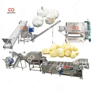 Stainless Steel Fresh Chinese Pure White Garlic Breaking Separating Garlic Peeling Machine