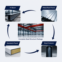 Structure en acier pour hangar à portique, système de toiture isolé et faible entretien pour les installations logistiques aériennes