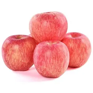 Yantai shanxi taze elma fuji lezzetli büyükanne smith elma taze elma meyve fiyat çin'den