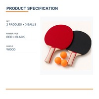 Ensemble de raquettes de tennis de table, 2 raquettes, 3 balles 40+, avec sac en tissu pour jeu familial en intérieur, OEM personnalisé