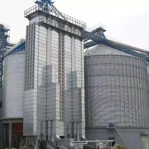 Usine de stockage de grains de 5000 à 50000 tonnes pour maïs, haricots et sécheur de grains