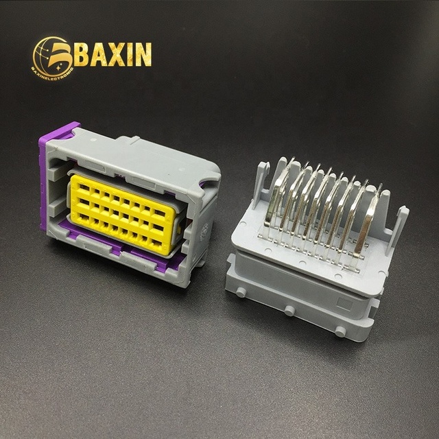 BAXIN DJ7241-1.5/2.8-21 Waterproof ROHS Compliant Female Automotive ECU Connector with Wire to PCB for China Market