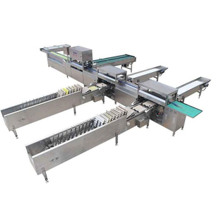 Machine à éplucher les œufs de caille et de poulet, ligne de traitement pour épluchage et éclatement des coquilles - Product Image 4