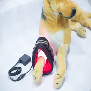 Perangkat Laser Dokter Hewan Anjing/Terapi Laser