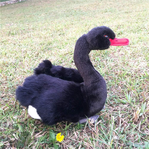 Yingii <span class=keywords><strong>Cigno</strong></span> <span class=keywords><strong>Nero</strong></span> Gonfiabile da 10 Pollici con Bocca Rossa Simulata e Zampe Grigie in Pelliccia Sintetica, Giocattolo per Animali da Fattoria, Decorazione per Casa e Stanza, Certificato CE CPC - Product Image 3