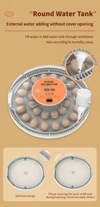 WONEGG Nouvel Incubateur d'Œufs de Poule Économique 30 Œufs 110 V, Également pour Œufs de Caille, Machine à Couver - Product Image 6