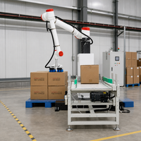 Robot de manutention de palettes et de cartons de 30 kg avec ventouse pour lignes d'emballage et opérations d'entrepôt