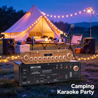 Système de musique vocale extérieur, amplificateur de puissance numérique professionnel, carte amplificateur audio AC220V DC12V pour haut-parleur
