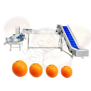 MYONLY Auto Olive Papaya Mariscos <span class=keywords><strong>Caracol</strong></span> Cangrejo <span class=keywords><strong>vivo</strong></span> Clasificación de peso Máquina Niveladora de frutas y verduras - Product Image 1