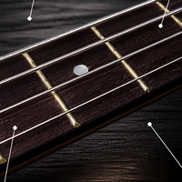 Electric Bass Guitar 4 String PJ Pickup Basswood Body Maple Neck Rosewood Fretboard Rock Band Stage Performance OEM ODM