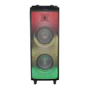 2021 Hot Koop Prive Draadloze Pa Dj Karaoke Oplaadbare Pro Bt Draagbare Met Vuur Effect Light Speaker