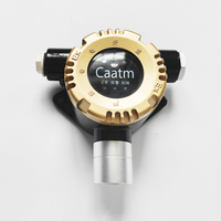Detector de Fugas de Gas Combustible Fijo ExdIICT6 IP66 GTYQ-CA228 con Sensor Importado para Petroquímica, Restaurantes y Calderas