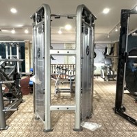 Entrenador de acero multifuncional para pájaros pequeños, equipo de ejercicio físico para brazos, pecho, piernas, espalda, culturismo, práctica de tríceps