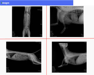 <span class=keywords><strong>Detector</strong></span> de iray, <span class=keywords><strong>detector</strong></span> móvel sem fio para máquina xray imaging digital - Product Image 4